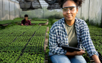 What are the Nine Agriculture Career Focus Areas?